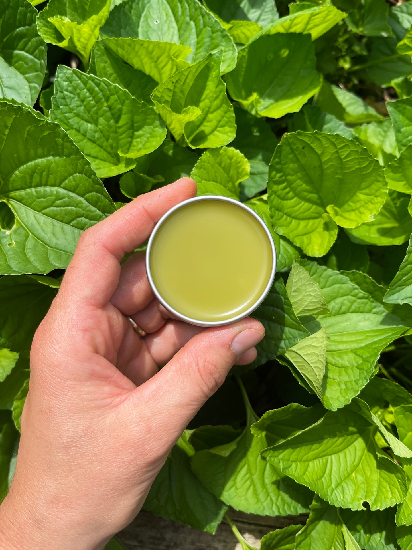 Heal All Salve